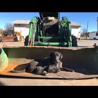 Chris Lee Equipment Repair